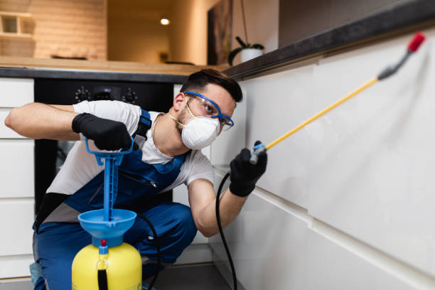 Best Mosquito Control Services  in Bowie, MD