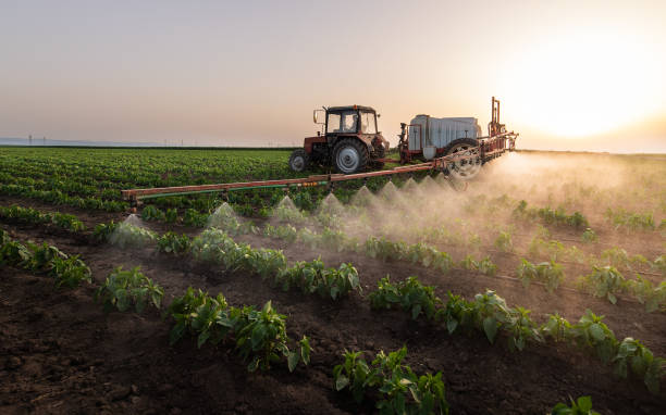 Best Mosquito Control Services  in Bowie, MD