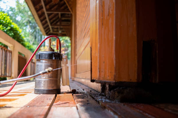 Best Pest Removal Services  in Bowie, MD
